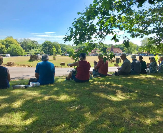 Hampshire and Surrey clubs and societies news