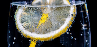 Cheers! Gin Cream Tea fundraiser for mayor's charity