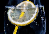 Cheers! Mayor to hold Gin Cream Tea fundraiser for Bordon Counselling