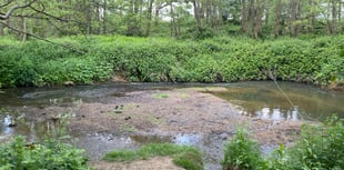 Firms to splash £350k on improvements at nature reserve