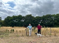 Wildflower meadow project is blossoming at Pierrepont Farm