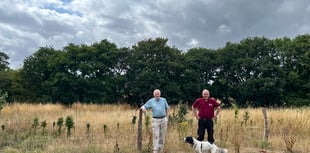 Wildflower meadow project is blossoming at Pierrepont Farm