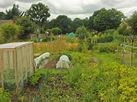 Whitehill Town Council debates allotment fees