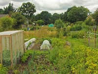 Whitehill Town Council debates allotment fees