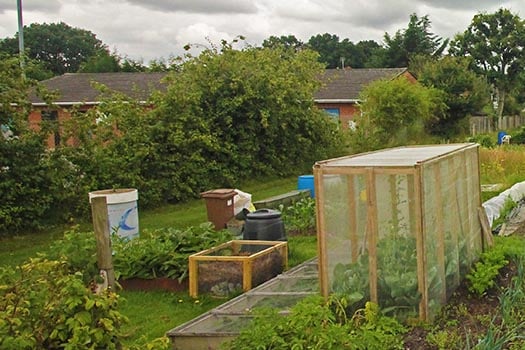 Mill Chase Allotment site
