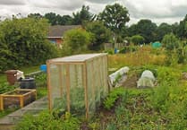 Whitehill debates allotment fee hike amid rising costs