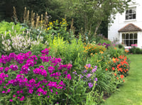 Perennial fundraiser to open garden for last time