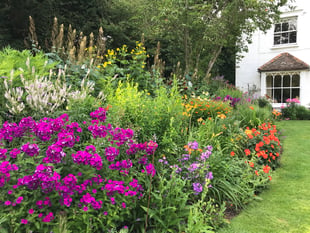 Perennial fundraiser to open garden for last time