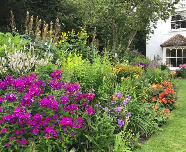 Perennial fundraiser to open garden for last time