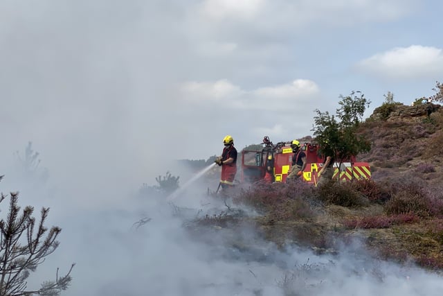 Stop lighting fires, warns Fire Chief after Churt Common blaze