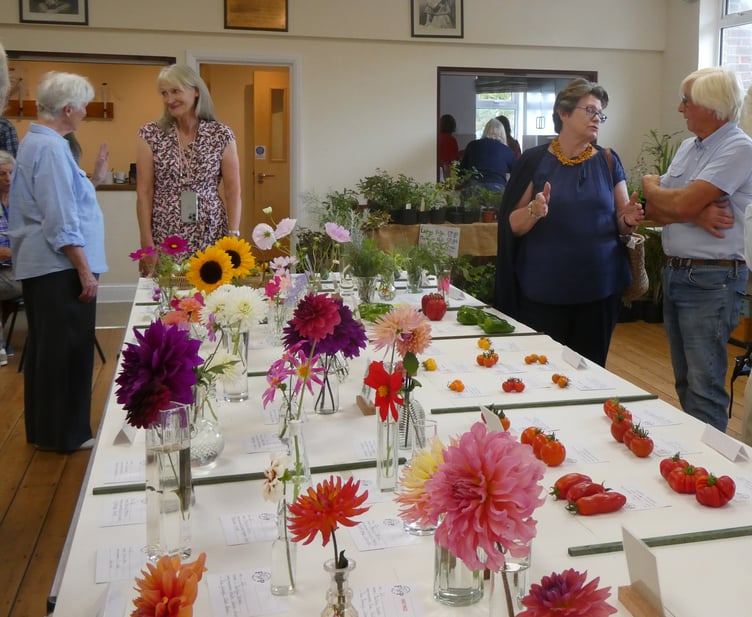 Visitors view the entries at the Froxfield and Privett Garden Club Summer Show, Froxfield Village Hall, August 16th 2025.