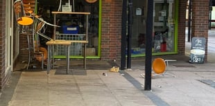 Vandalism sparks calls for more police in Bordon