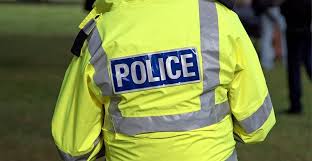 Haslemere man faces sentencing after police assaults