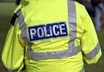 Haslemere man faces sentencing after police assaults