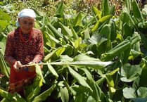 Hampshire and Surrey clubs and societies news