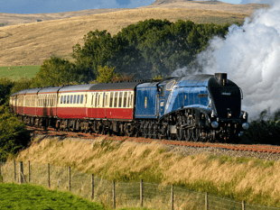 Get up close to iconic steam locomotive at the Watercress Line