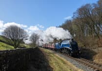 All aboard for autumn festival of steam at Watercress Line