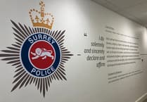 Teen dies in A3 collision as police seek van driver
