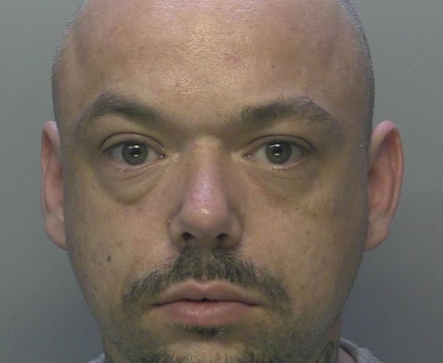 Have you seen wanted man David?