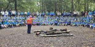 Surrey Beavers go wild at Bentley Copse Camp