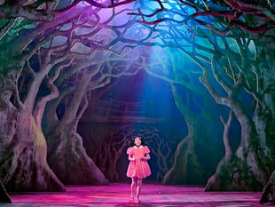 My Neighbour Totoro enchants in London's West End 