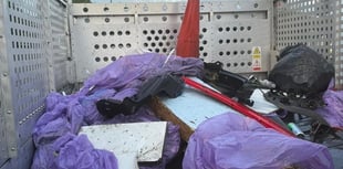 Huge litter haul collected in A31 clean-up effort