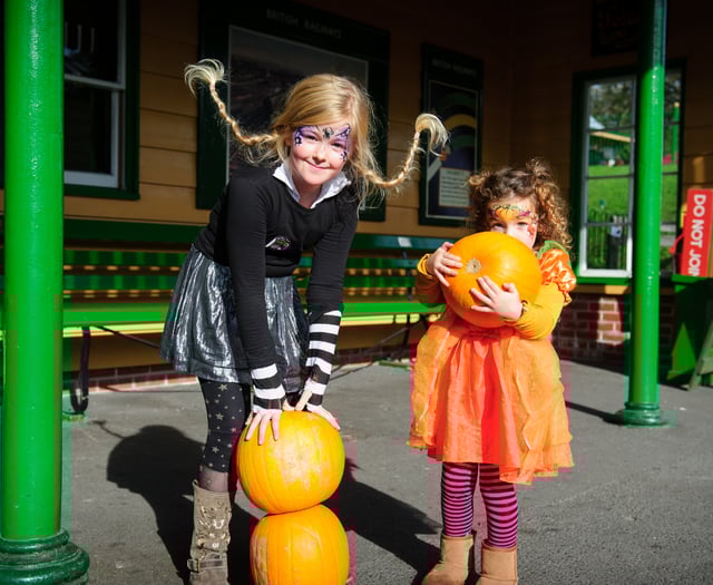 All aboard for a spellbinding Halloween adventure