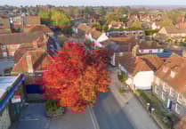 VIDEO: Autumnal Petersfield from above by Big Ladder Photography