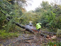 Storm Benjamin hits as tree fall blocks Stoner Hill near Petersfield