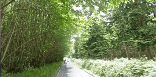 Haslemere cyclist dies after suspected hit-and-run