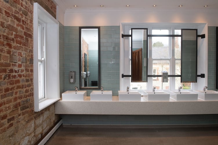 The ladies toilets at The Ivy House in Alton.