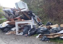 Fly-tipper hit with £2,900 court bill for 2021 incident near Clanfield