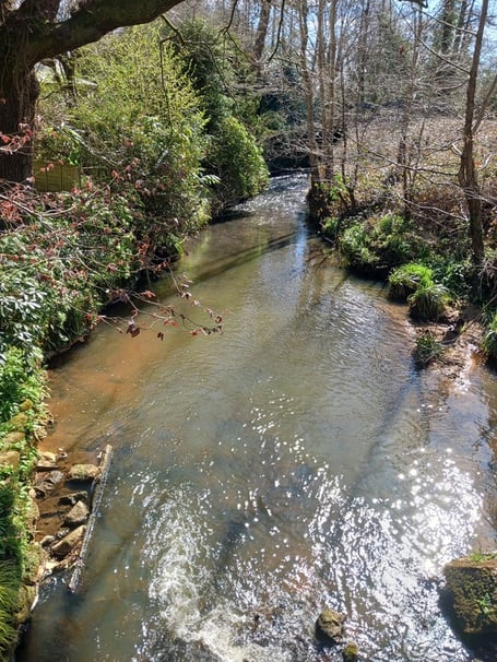 The River Rother at Liss, December 4th 2025.