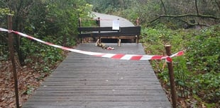 Boardwalk at Bordon Inclosure closed over safety fears