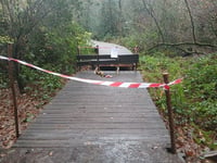 Boardwalk at Bordon Inclosure closed over safety fears