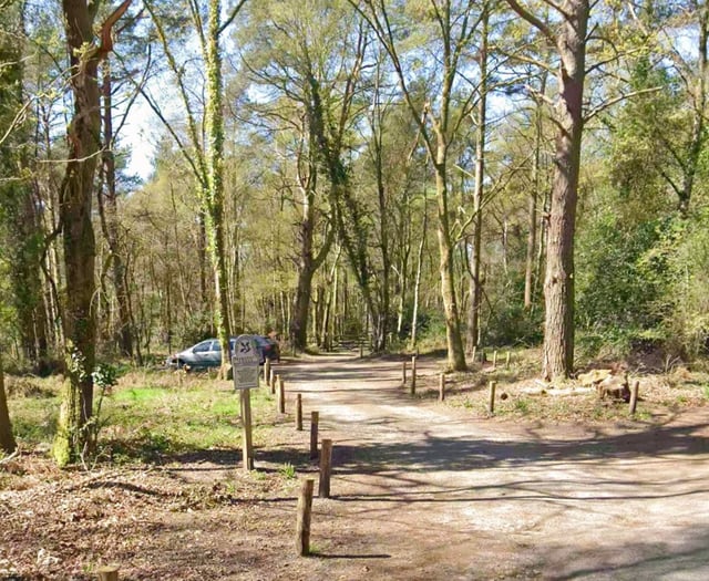 Man exposes himself to woman at beauty spot near Liphook