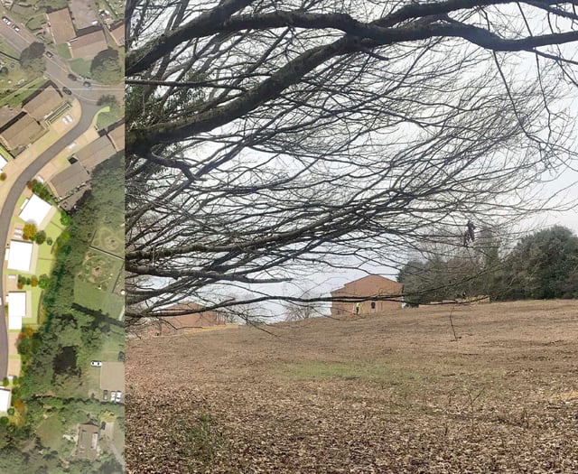 Liss field earmarked for 30 homes - but with no affordable housing