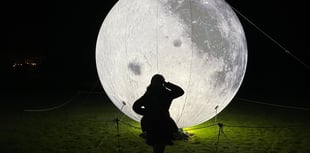 Finding winter wonder at Gilbert White’s Eco Light Festival