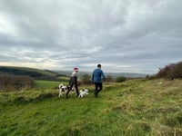 The best festive winter walks to enjoy in the South Downs