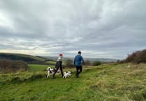 The best festive winter walks to enjoy in the South Downs National Park