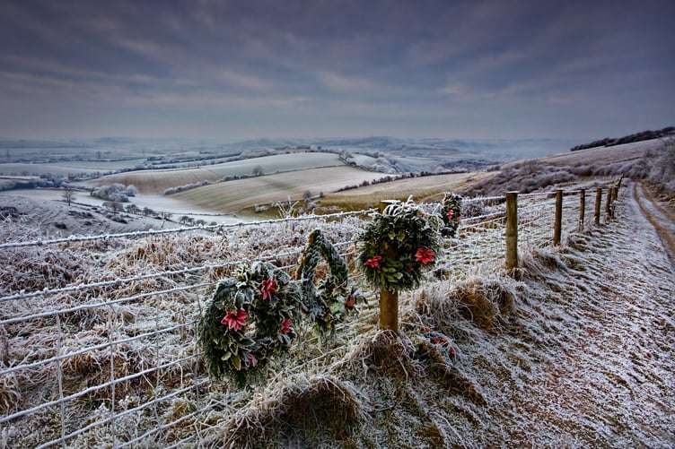 Butser Hill covered in frost.