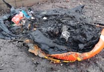 Appeal after lifebelt destroyed in fire at Kings Pond