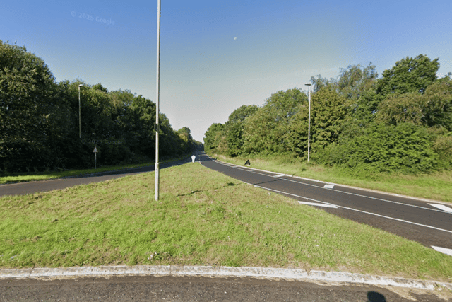 Witnesses sought following three-vehicle crash on A31 near Alresford