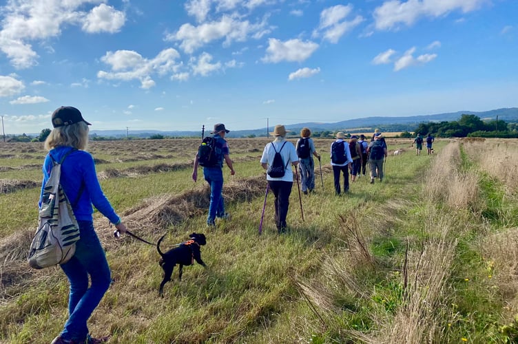 Rural Strides South Downs Walks