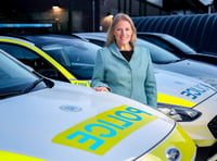 Police commissioner says Government road safety delays ‘cost lives’