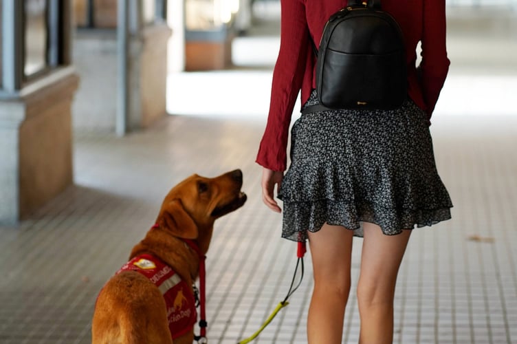 Daisy Cottle-Bailey with Jarvis, a Labrador Retriever who has changed her life. // A woman says her life has been transformed after getting a dog that can sense when she is about to faint - and performs a little jump to let her know.  Daisy Cottle-Bailey, who has Postural Orthostatic Tachycardia Syndrome (PoTS) and Ehlers-Danlos Syndrome, used to pass out up to 40 times a day.  The debilitating nature of her conditions meant she had to put her barrister training on hold - and left the 24-year-old housebound.  Unsure of what to do, she was scrolling on social media when she came across the Medical Detection Dogs charity.  Daisy, from Farnham, Surrey, reached out and workers eventually linked her up with Jarvis, a Labrador Retriever, in September 2024 - which changed her life.  The pooch is trained to to detect tiny changes in her personal smell, which are triggered by her conditions.  He can even do this when sleeping and, when alerted, he hops to tell Daisy - so she can move herself to a safe position. Jarvis has allowed Daisy to carry on with her studies and, last week, she graduated from Queen Mary University with a Master's in International Dispute Resolution. 