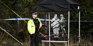 Farnham school pupil, 15, dies in woodland stabbing