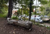 Volunteers take a seat as bench installed at Petersfield woodland site