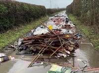 Frustration over fly-tipping as lane near Binsted blocked