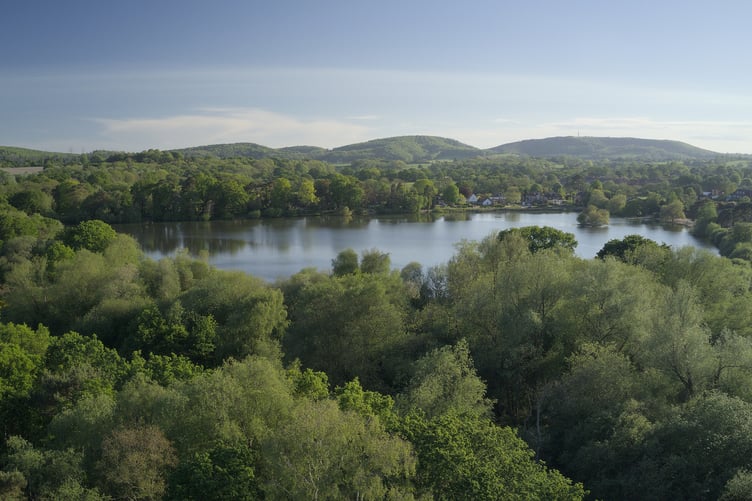 Petersfield heath and pond in the South Downs.